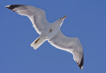 Similar image 5524574