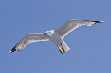 Similar image 5524575