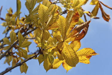 Similar image 5524577