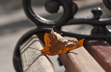 Similar image 5524579