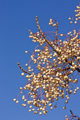 Similar image 5524580