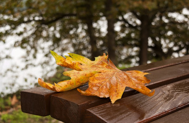 Similar image 5524583