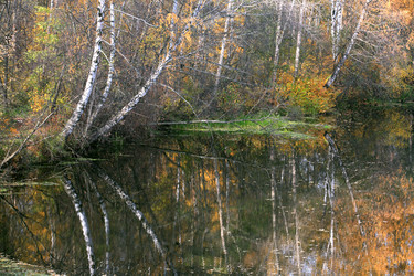 Similar image 5524586