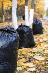 Similar image 5524587