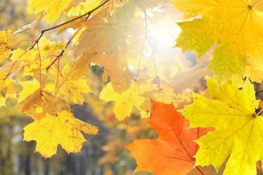 Similar image 5524589