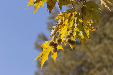 Similar image 5524595