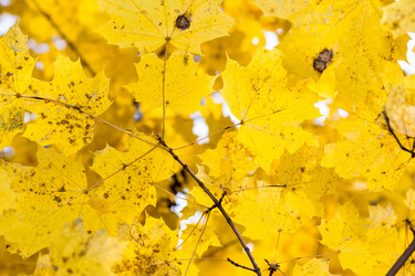 Similar image 5524624