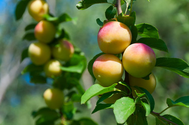 Similar image 5524663