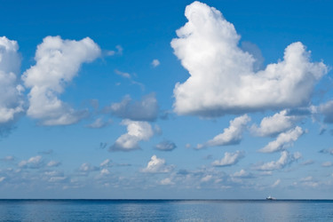 Similar image 5524686