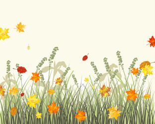 Similar image 5524817