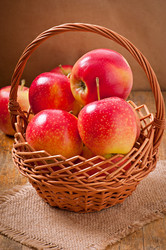 Similar image 5525009