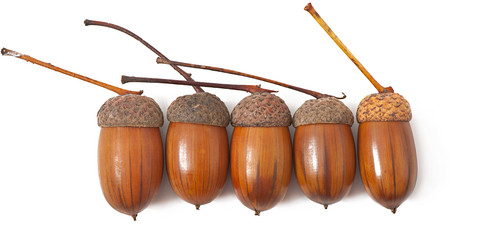 Similar image 5525011