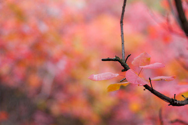 Similar image 5525022