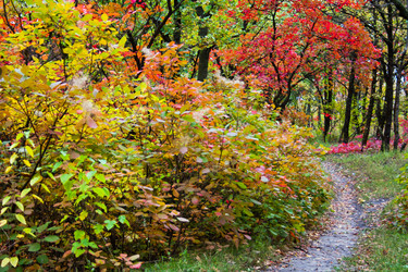 Similar image 5525025