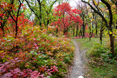 Similar image 5525027