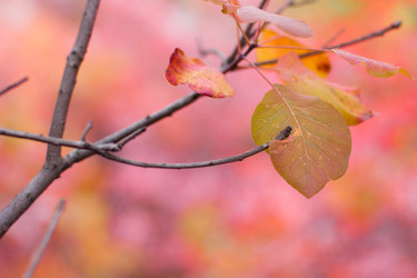 Similar image 5525028