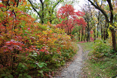 Similar image 5525030