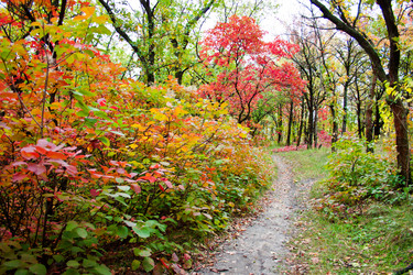 Similar image 5525031