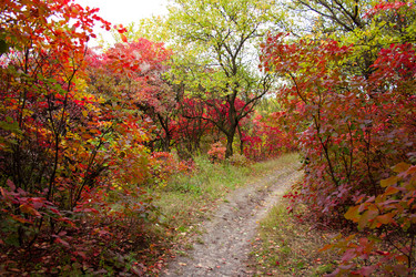 Similar image 5525033