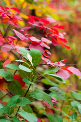 Similar image 5525035