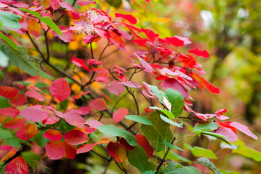 Similar image 5525036