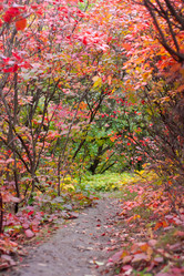 Similar image 5525038