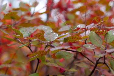 Similar image 5525039