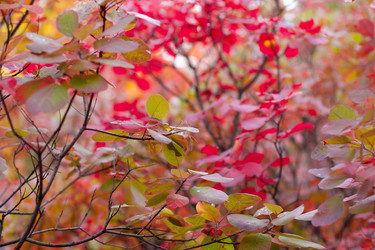 Similar image 5525040