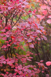 Similar image 5525041