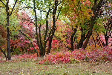 Similar image 5525043