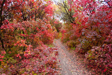 Similar image 5525045