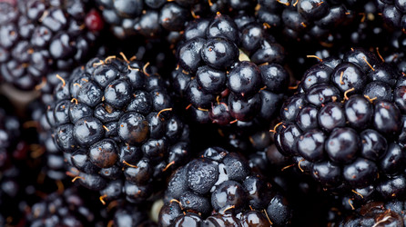 Similar image 5525051