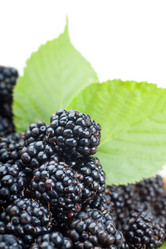 Similar image 5525052