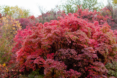 Similar image 5525056