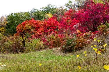 Similar image 5525059