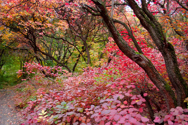 Similar image 5525061