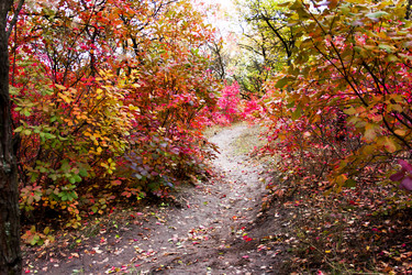 Similar image 5525062