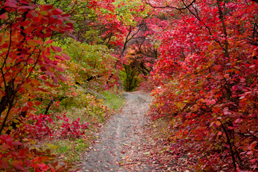 Similar image 5525063