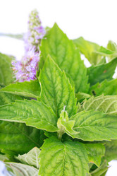 Similar image 5525101