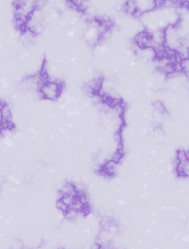 Similar image 5525238