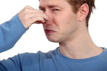 Similar image 5525545