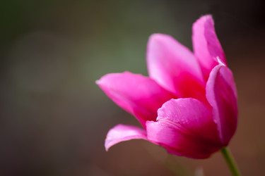 Similar image 5525889