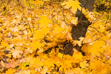 Similar image 5525924