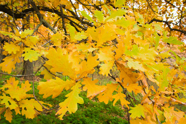 Similar image 5525925