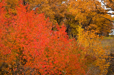 Similar image 5525927