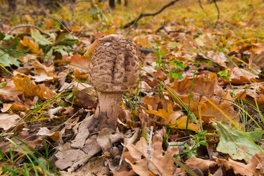 Similar image 5525928