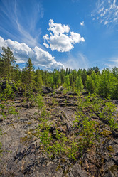 Similar image 5525956