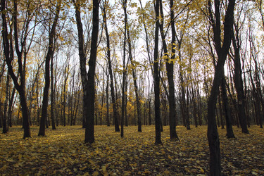 Similar image 5525959