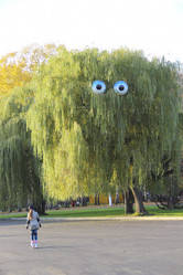 Similar image 5525960