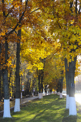 Similar image 5525961